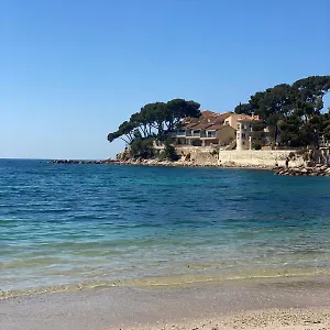 A Cha Cha Cha - Bandol